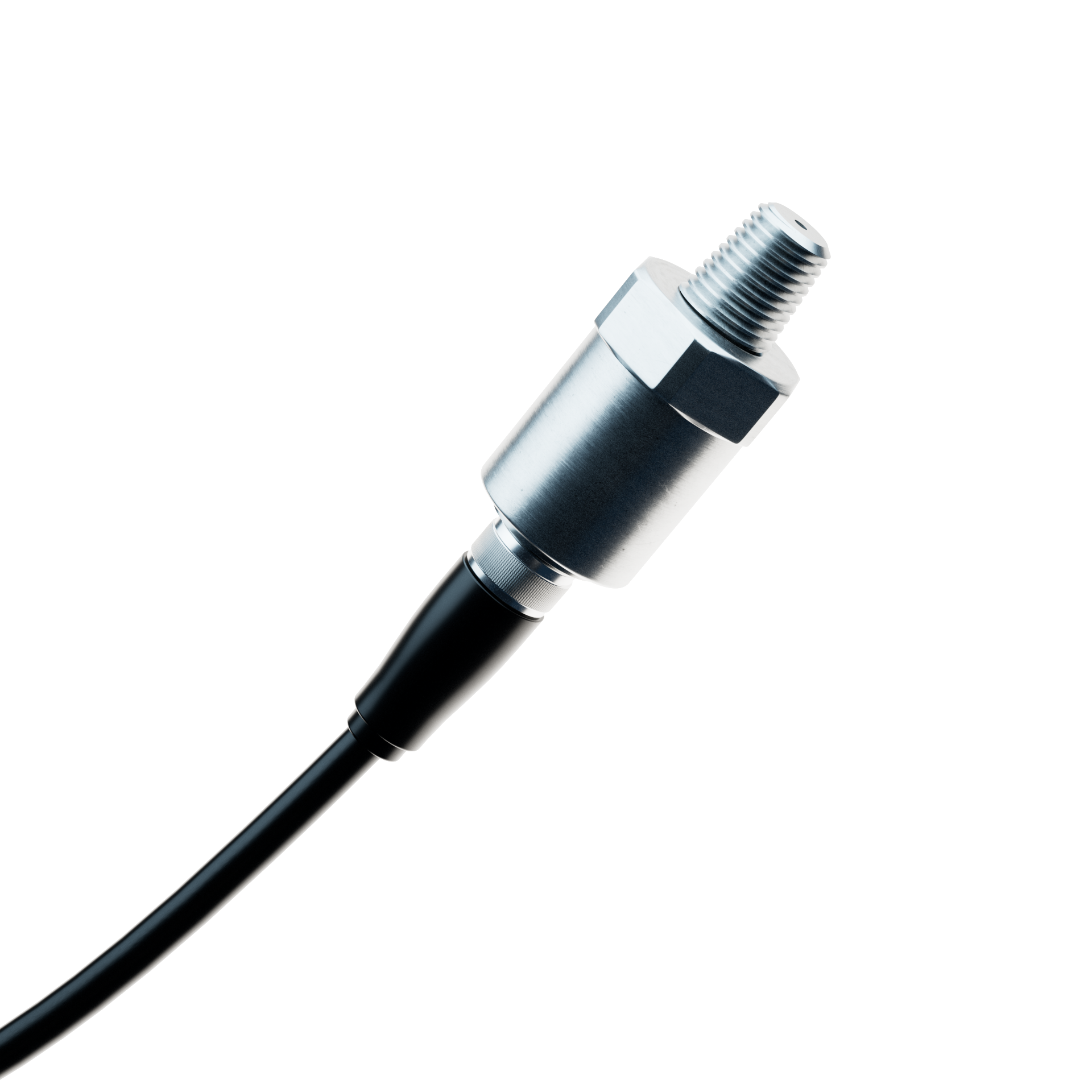 Fluid sensor